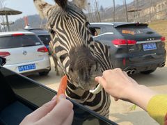 -南京金牛湖风景区