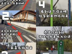 -武汉动物园