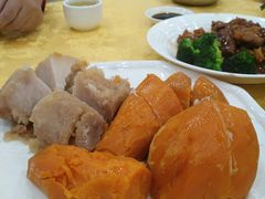 -姚林轩