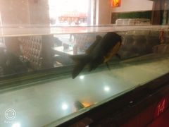 -集草轩·重庆麻辣烤鱼(西湖道店)
