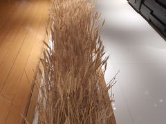 -西村日本料理(香格里拉饭店)