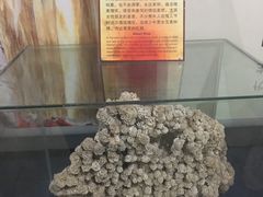 -游龙石文化科普馆