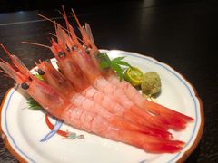 甜虾-鲤·鮨KOISUSHI