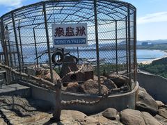 -西霞口神雕山野生动物世界