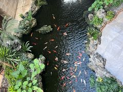 -广州白天鹅宾馆