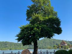 -顺峰山公园