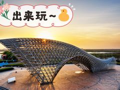 -南汇嘴观海公园