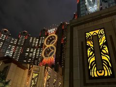 -影汇之星8字形摩天轮