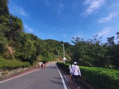 -火炉山森林公园