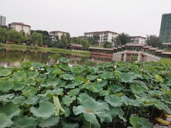 -西海子公园