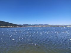 -海埂大坝