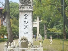 -灵谷景区