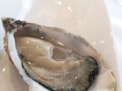 -Oyster Talks 四度蚝法餐厅
