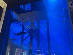 -迪拜水族馆及水下动物园