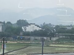 -黄牛肉馆·皖南土菜