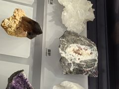 -重庆自然博物馆(新馆)