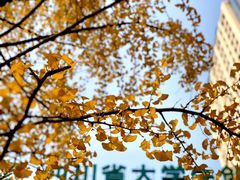 -西南交通大学(九里校区)