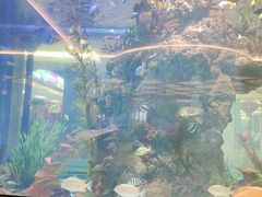 -碧桂园凤凰城酒店(南京店)