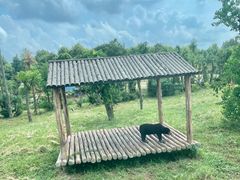 -上海野生动物园