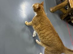 -蓝天射箭馆·专业射箭运动(诚丰广场店)