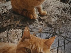 -终南山南五台景区