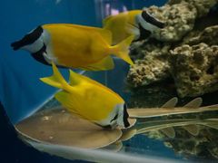 -泉州海丝野生动物世界