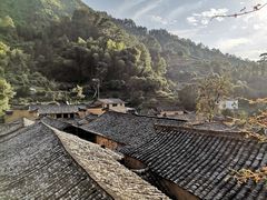-杨家堂村