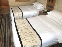 -长沙小天鹅戴斯酒店