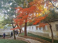 -西园戒幢律寺