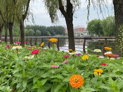 -长春公园(普阳街道)