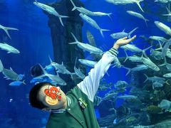 -哈尔滨波塞冬海底世界