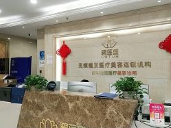 -碧莲盛·不剃发植发