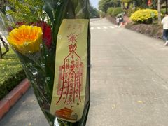 -广州莲花山旅游区