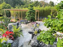-深圳仙湖植物园