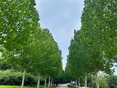 -北京西山国家森林公园