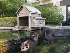 -行者书屋大堂吧 ·下午茶(南京圣和府邸酒店)