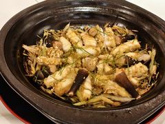-谭厨中山传家菜.乳鸽.脆鲩鱼(华强北中航城店)