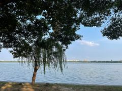 -尚湖风景区