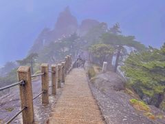 -黄山风景区