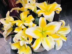 -Angkor SPA 柬埔寨古法按摩(环贸店)