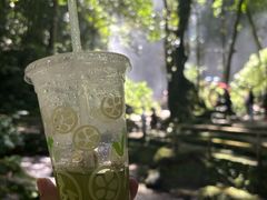 -莫里热带雨林景区