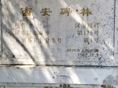 导游图-西安碑林博物馆