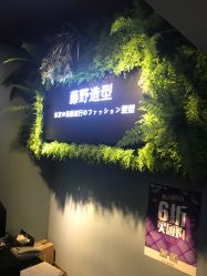 -藤野造型