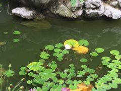 -暖心派对·独栋别墅团建聚会轰趴馆