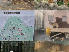 -青岛动物园