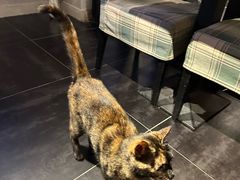 -EATALIA意塔利意式餐厅(鼓楼店)