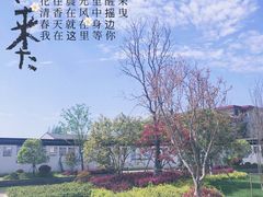 -黎里古镇