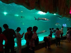 -泉城欧乐堡海洋极地世界