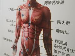 -通透堂中医·精准推拿(旗舰店)