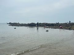 -春妮海味饭店·海景餐厅·海菜包子·大连海鲜